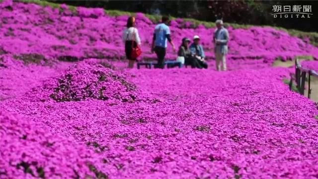 ประเด็นข่าว (29 ก.พ. 59)