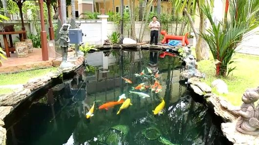 สมุนไพรผู้สูงวัย