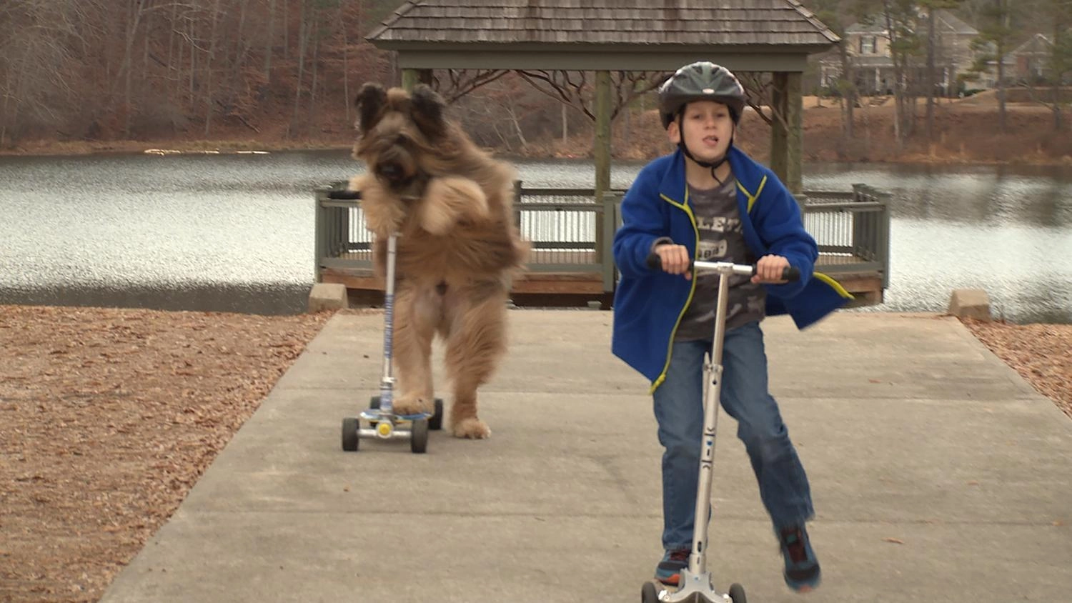 สุดยอดสุนัขของโลก