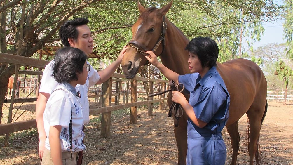 ม้าแข่ง...เจ้าแห่งความเร็ว ตอนที่ 1