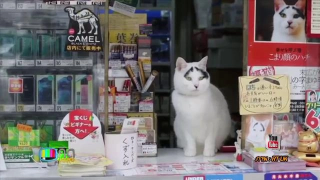 ประเด็นข่าว (4 มี.ค. 59)