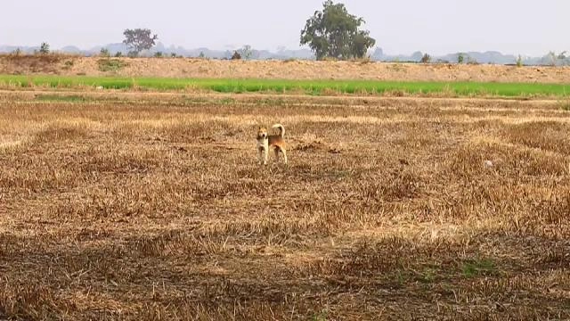 ​ประเด็นข่าว (4 มี.ค. 59)