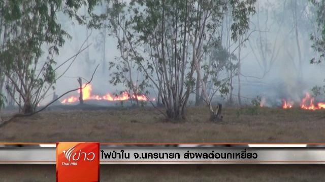 ประเด็นข่าว (4 มี.ค. 59)