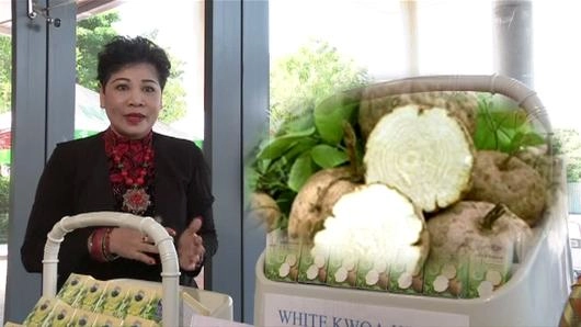 สมุนไพรไทยก้าวไกลทั่วโลก ตอน 1