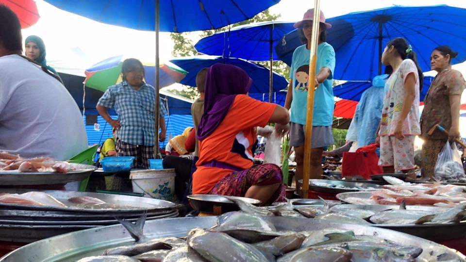 ผังเมือง บนทางแพร่งการพัฒนา