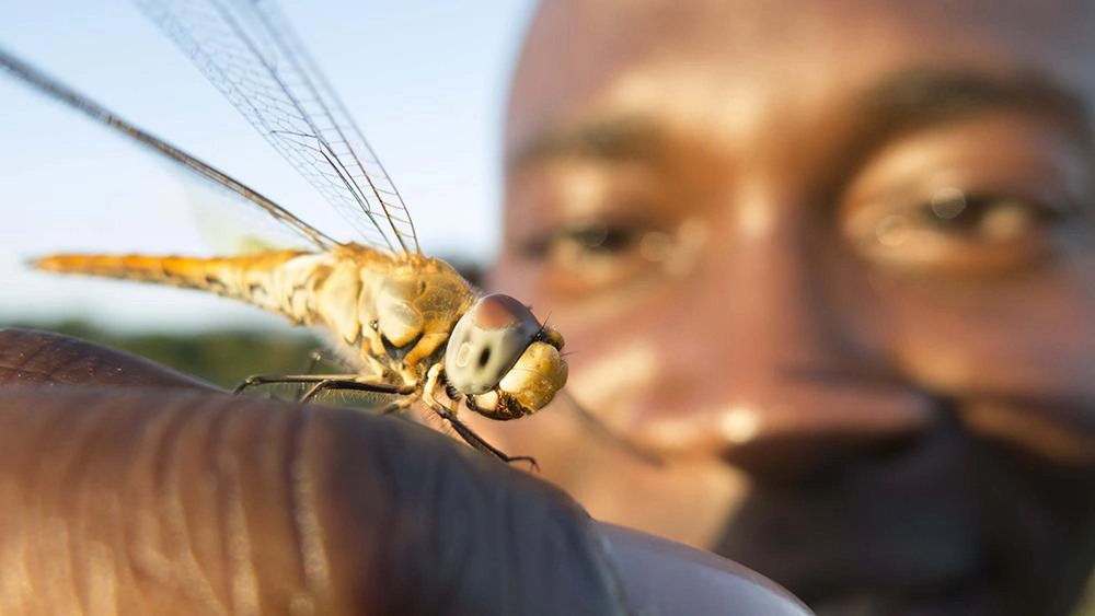 สุดยอดประสาทสัมผัส ตอน การมองเห็น