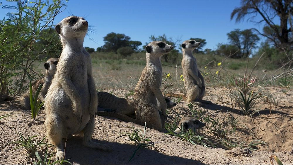 มิติโลกหลังเที่ยงคืน