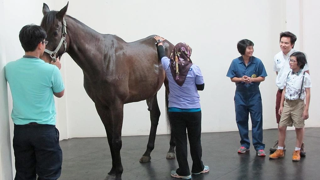 ม้าแข่ง...เจ้าแห่งความเร็ว ตอนที่ 2