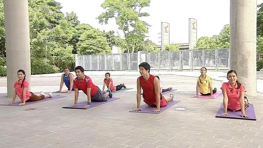 โยคะเบื้องต้น