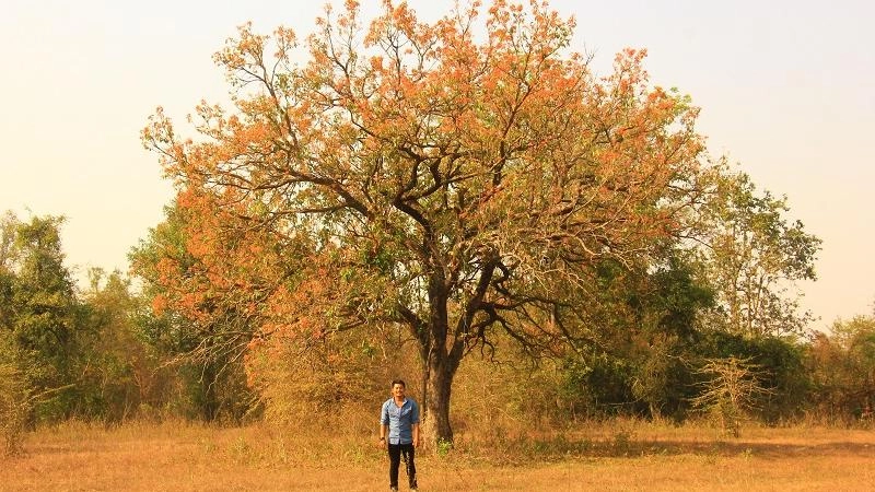 หัวใจไทยอีสาน จ.อุดรธานี