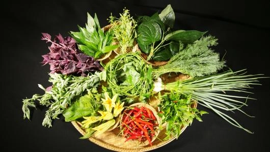 สมุนไพรเบญจพิษ