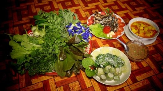 สวนครัวสร้างสุข