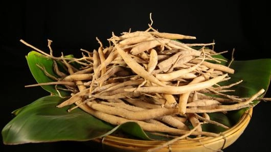 รากสามสิบ