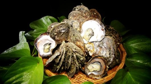 หอยเฉลียบ