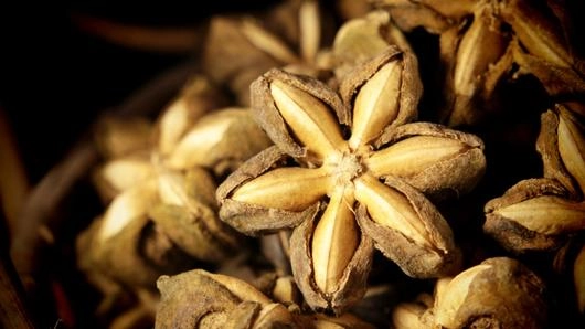 ถั่วดาวอินคา