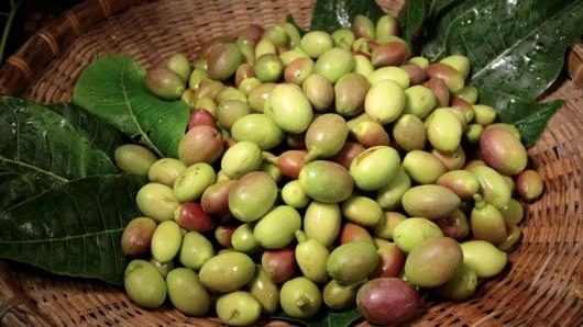 ลูกกาน่า