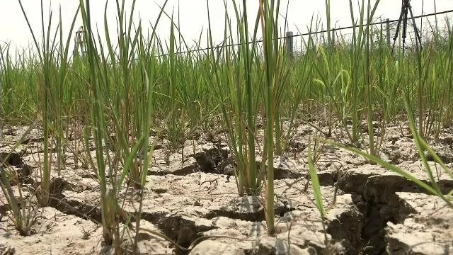 ประเด็นข่าว (10 มี.ค. 59)