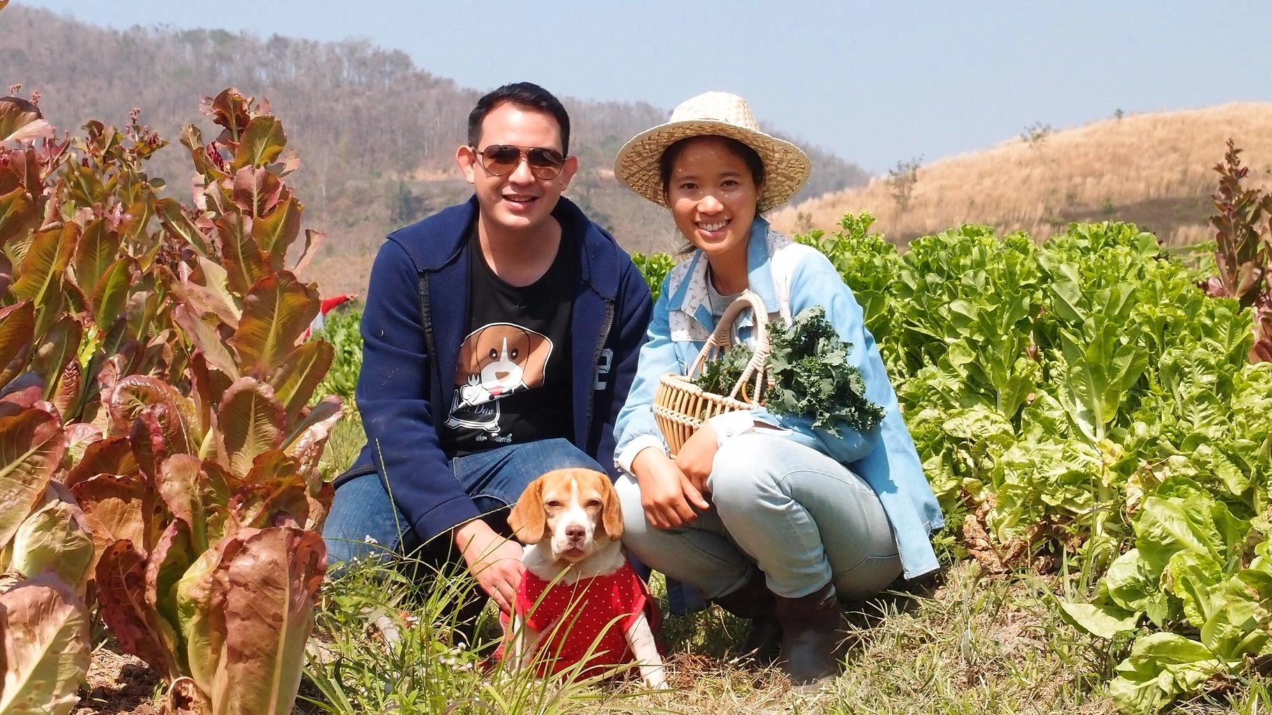 เกษตรอินทรีย์พอเพียง