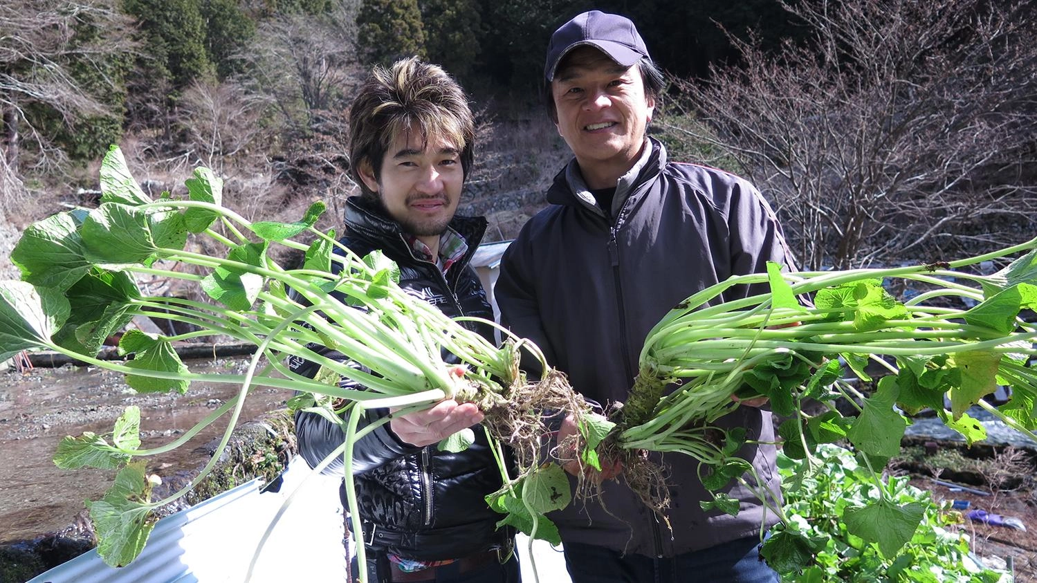 วาซาบิ 400 ปี ดีจากต้นตระกูล