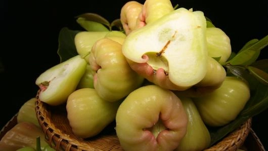 ชมพู่เพชรสายรุ้ง