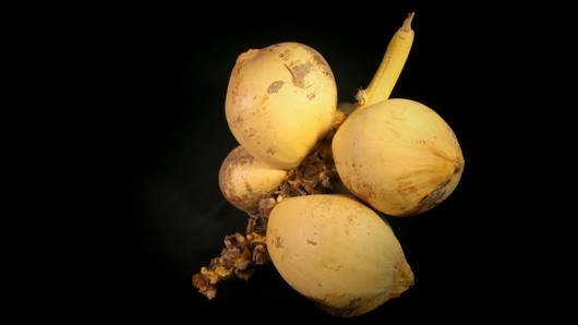 มะแพร้ว