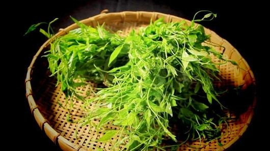 ผักแซ่ว