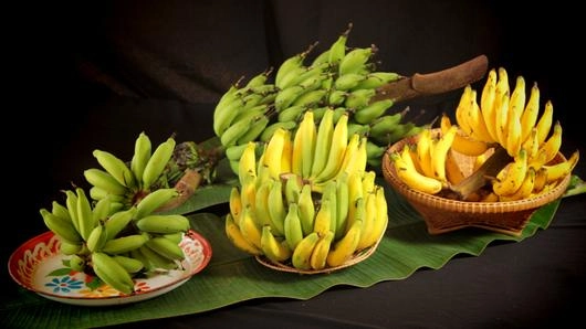 กล้วยเล็บมือนาง