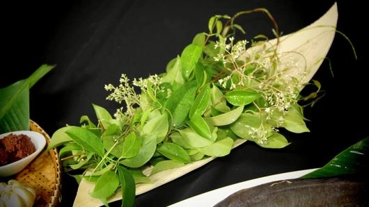 ส้มเกรียบ