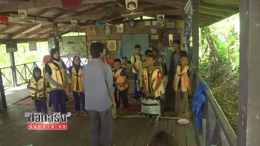 โรงเรียนในป่า