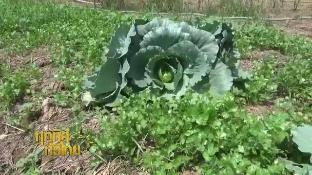 ประเด็นข่าว (15 มี.ค. 59)