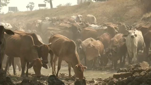 ประเด็นข่าว (15 มี.ค. 59)