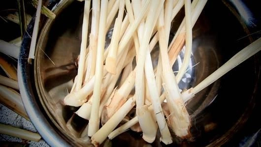 ยอดหวาย