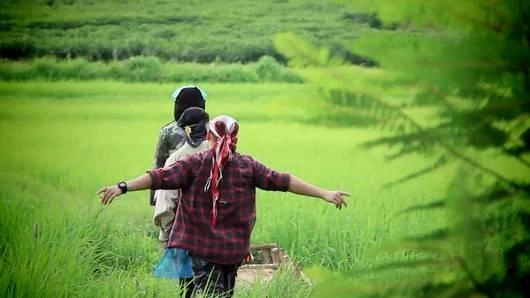 ปักเบ็ดปลา