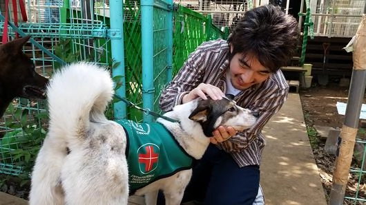 สุนัขบำบัด