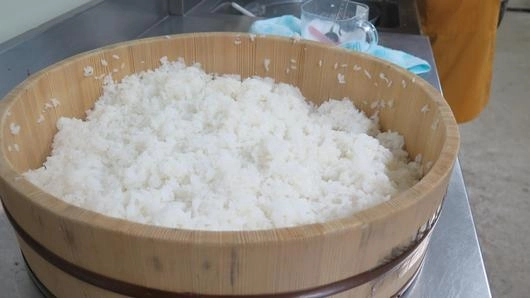 ข้าวเทพเจ้า ความพยายามของคนสู้