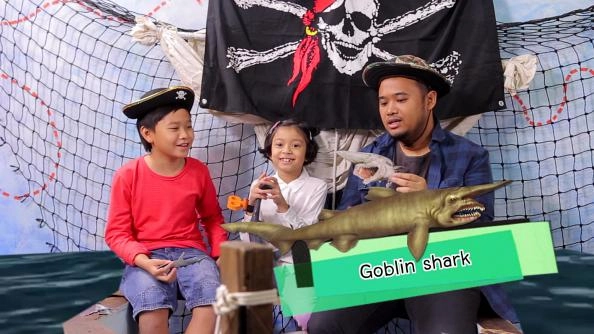 ฉลามบุก