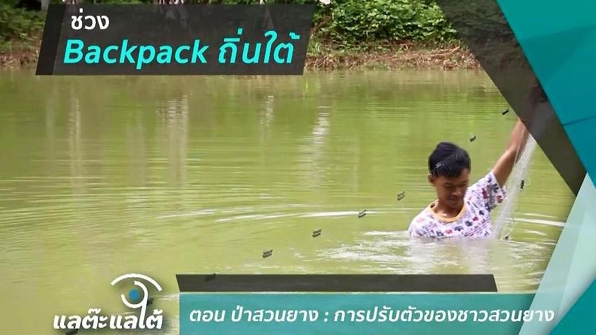 มุมที่มองกับถิ่นที่เกิด