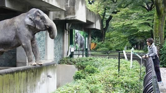 ฮานาโกะ ช้างไทยเชื่อมสัมพันธ์