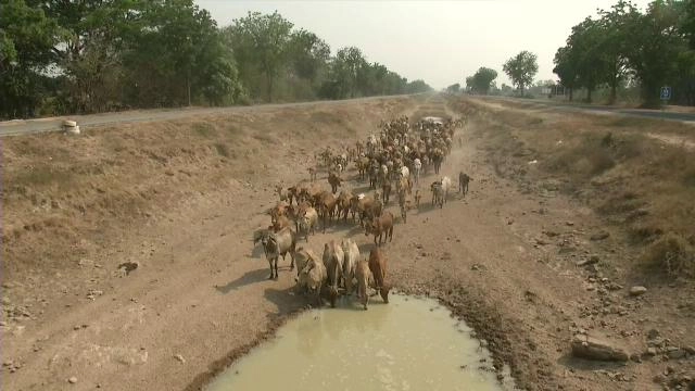 ข่าว 09.00 น.