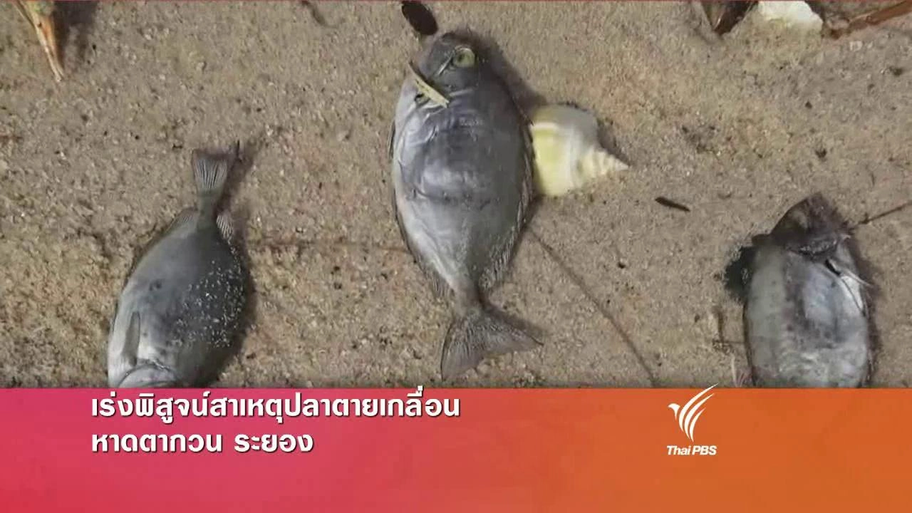 ประเด็นข่าว (16 มี.ค. 59)