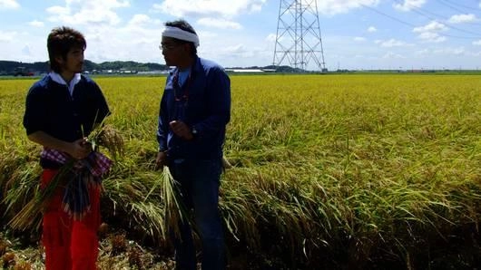 ปลูกข้าว ปลูกชีวิต