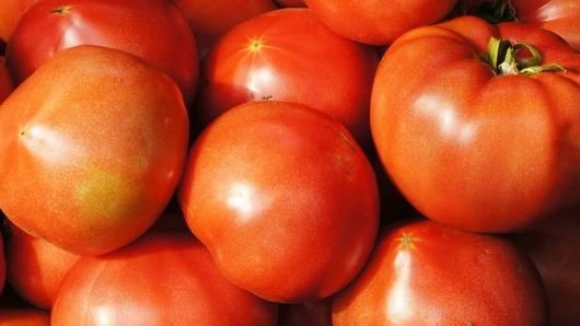 เกษตรอินทรีย์ ทางเลือกที่ทำให้รอด