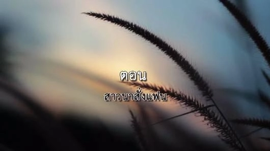 สาวนาสั่งแฟน