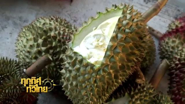 ประเด็นข่าว (21 มี.ค. 59)