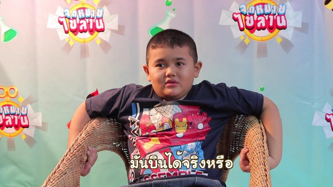 ของเล่นในสวนหลังบ้าน