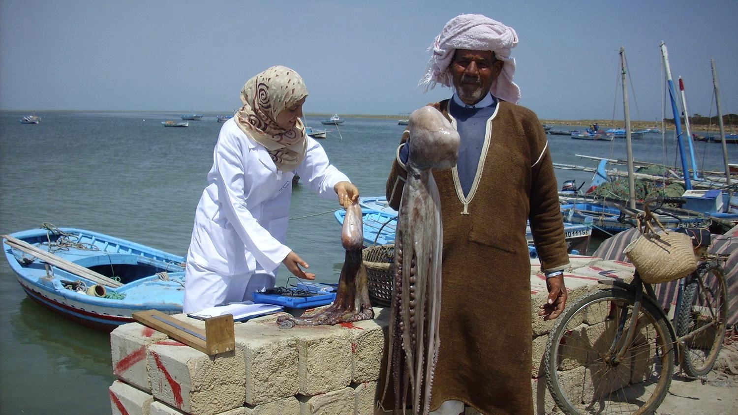 โลก 360 องศา ตอน  ตูนิเซีย – เคล็ดลับของคนจับหมึก