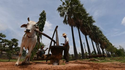 เนื้อแท้แห่งพุกาม