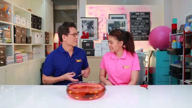 แม่เหล็กดูดกระดาษ