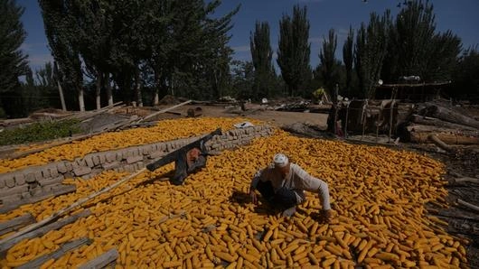 อุยกูร์คือใคร