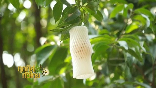 ประเด็นข่าว (23 มี.ค. 59)